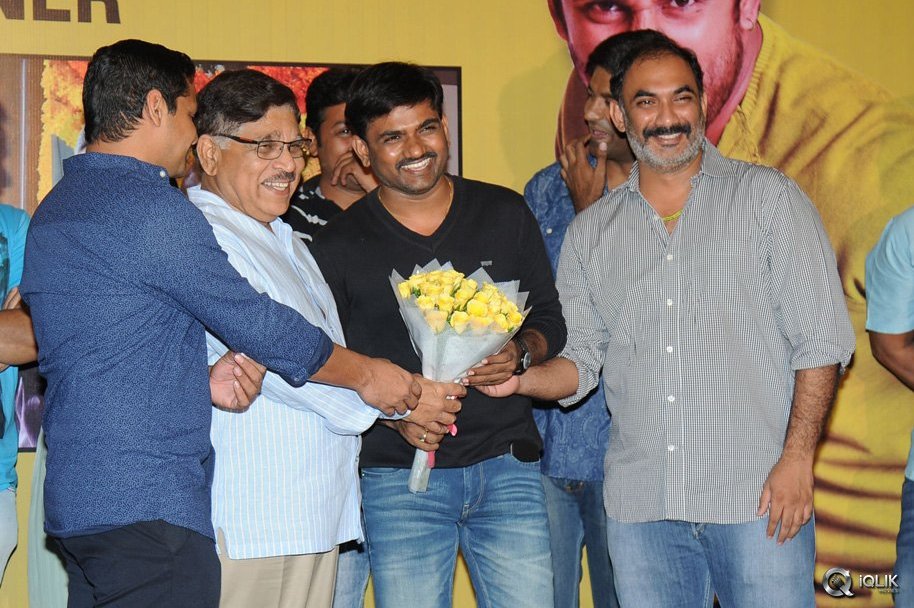 Bhale-Bhale-Magadivoy-Movie-Success-Meet